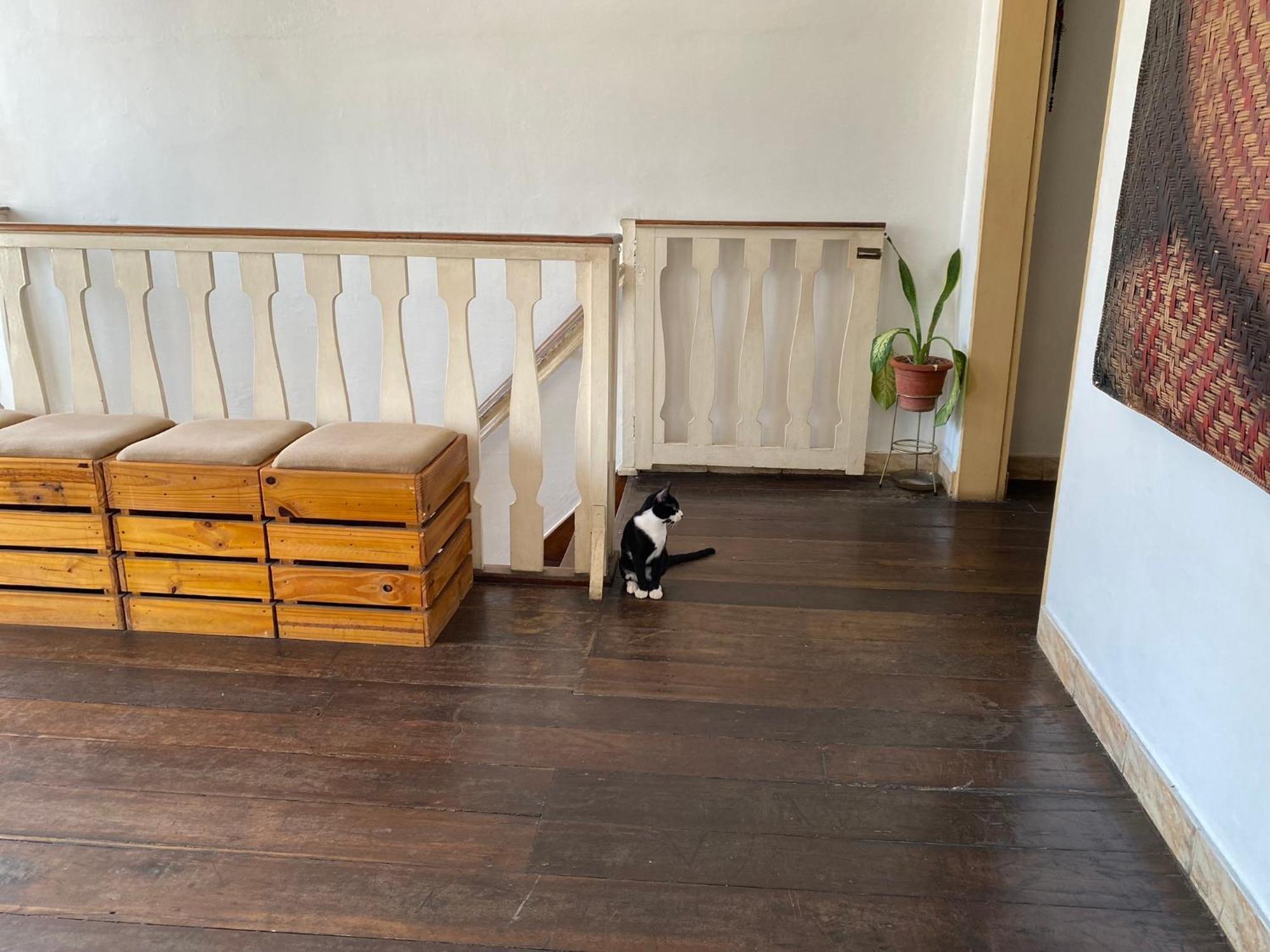 Aldeia Hostel Manaus Zewnętrze zdjęcie