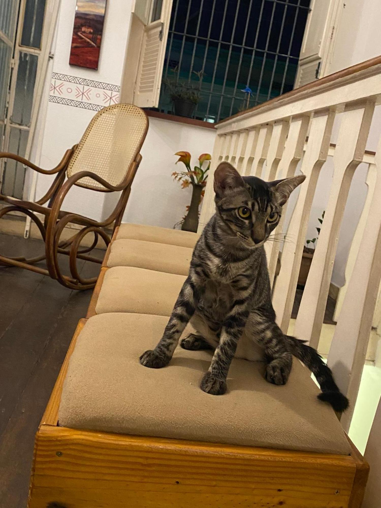 Aldeia Hostel Manaus Zewnętrze zdjęcie